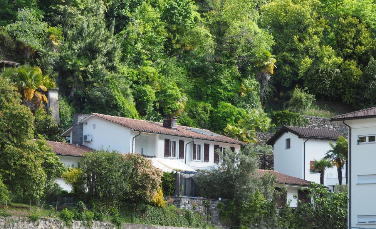 Be Easy In Selva Locarno Exterior foto